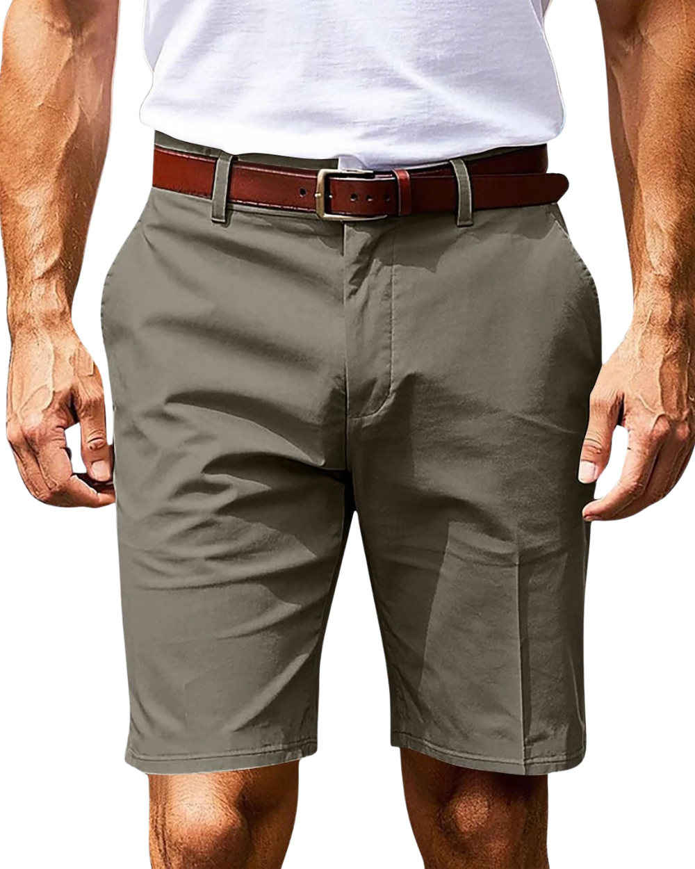 Elegant Chic Shorts